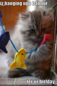 lolcatskittehhanginbanner.jpg