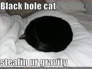 lolcatsblackholecat.jpg