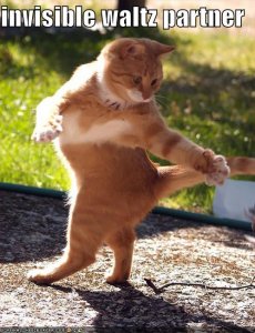 lolcatsinvisiblewaltzpartner.jpg