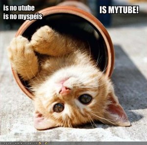 lolcatsmytube.jpg