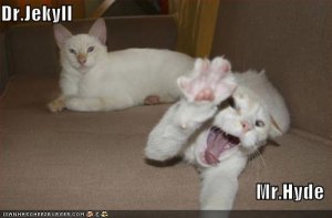 lolcatsdrjekyllmrhyde.jpg