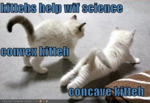 lolcatsconvexconcave.jpg