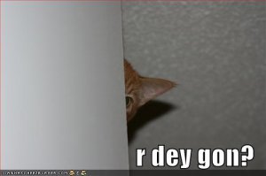 lolcatsrdeygon.jpg
