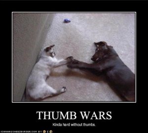 lolcatsthumbwars.jpg