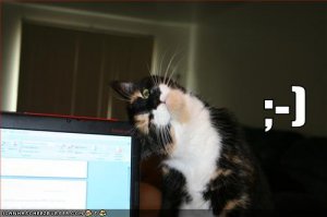 lolcats;).jpg