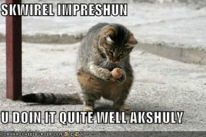 lolcatssquirrelimpression.jpg
