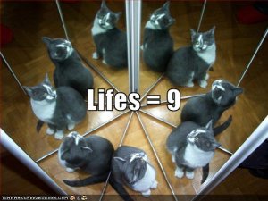 lolcats9lifes.jpg