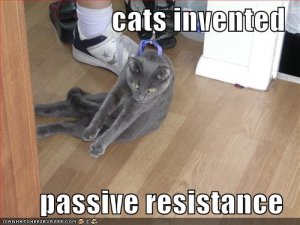 lolcatspassiveresistance.jpg