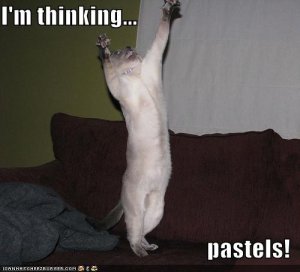 lolcatsimthinkingpastels.jpg