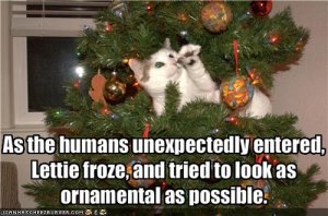 lolcatscatornament.jpg