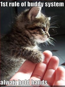lolcatsalwaizholdhands.jpg