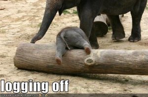 lolcatselephantloggingoff.jpg