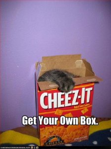 lolcatsmahcheezits.jpg