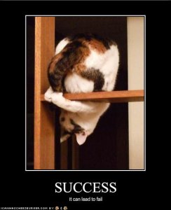 lolcatssuccessitcanleadtofail.jpg
