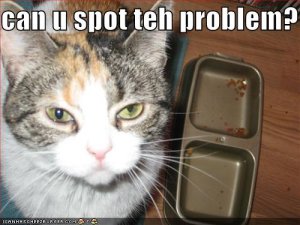 lolcatsspottheproblem.jpg