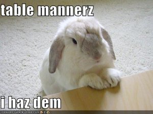 lolcatsbunnyhazmanners.jpg