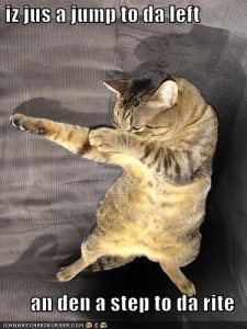 lolcatsdancecat.jpg
