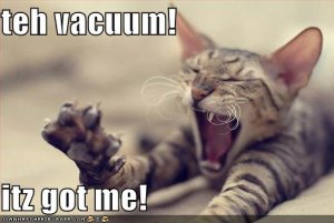 lolcatsvacuumgotme.jpg