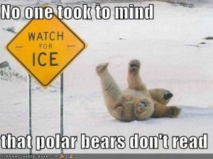 polar.jpg