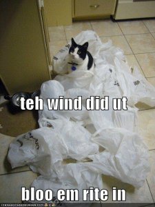WIND!!.jpg