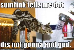 lolcatsnotgonnaendgud.jpg
