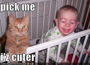 lolcatspickme.jpg