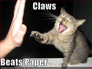 lolcatsclawsbeatspaper.jpg