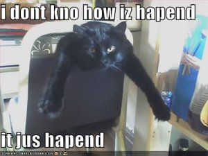 lolcatsdunnohowhappened.jpg