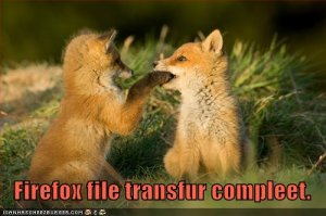 lolcatsfirefoxfiletransfer.jpg