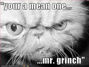 lolcatsmrgrinch.jpg