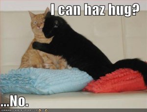 lolcatsnocanhazhug.jpg