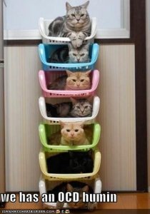 lolcatsocdhumin.jpg