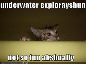 lolcatsunderwaterexplorayshun.jpg