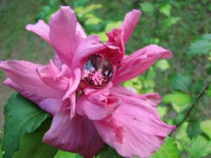 pictures_1.jpg