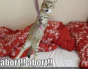 lolcatsabortabort.jpg