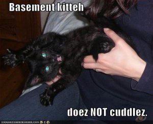 lolcatsdoesnotcuddlez.jpg