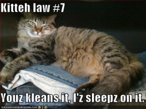 lolcatsyoukleansisleepz.jpg