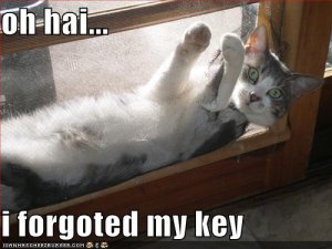 lolcatsforgotedkey.jpg