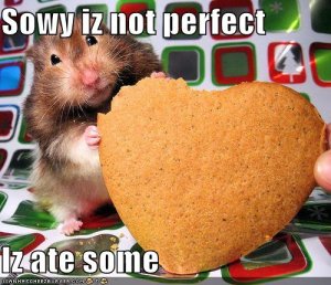 lolcatsiatesome.jpg
