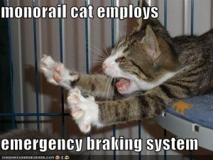 lolcatsemergencybrake.jpg