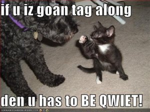lolcatsbeqwiet.jpg