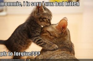 lolcatsiizsoryiwuzbadkitteh.jpg