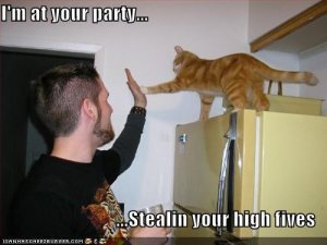 lolcatsstealinyourhighfives.jpg