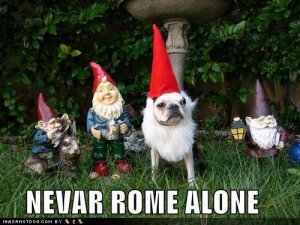 loldogswithgnomies.jpg