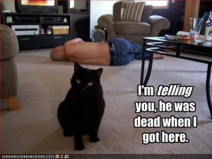 lolcatsdeadwhenigothere.jpg