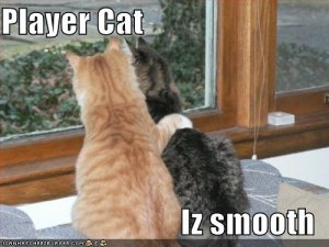 lolcatsplayercat.jpg