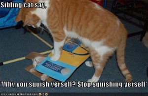 lolcatsstopsquishingyerself.jpg