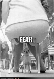 loldogsfear.jpg