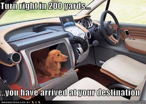 doggiegpsturnrightin200yards.jpg