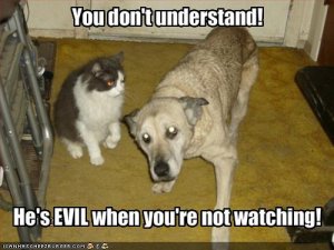 evilwhenyourenotwatching.jpg